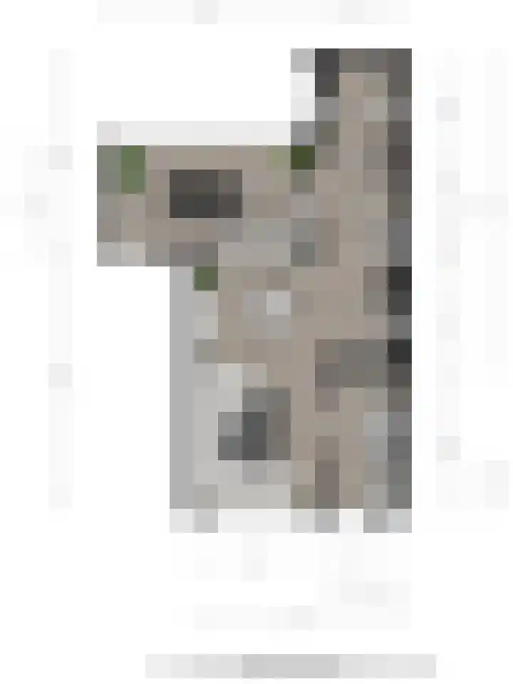 Vinkstraat 1 Goor thumbnail 23
