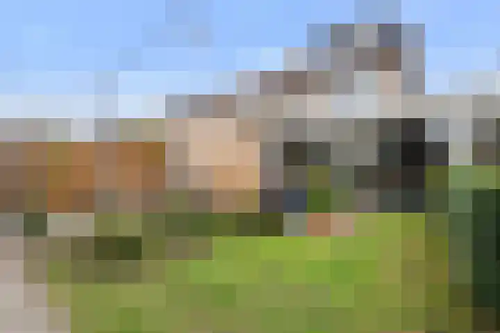 Vinkstraat 1 Goor thumbnail 27
