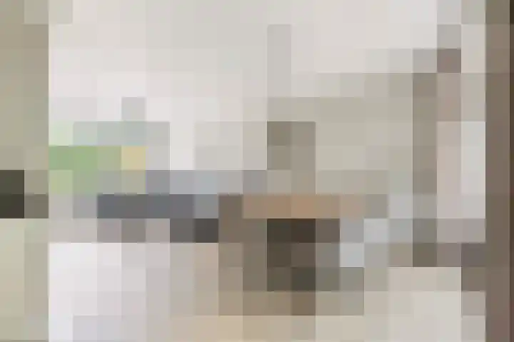 Vinkstraat 1 Goor thumbnail 5