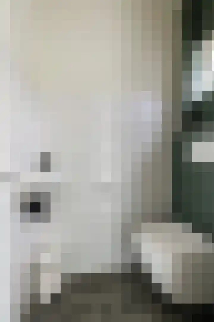 Vinkstraat 1 Goor thumbnail 9