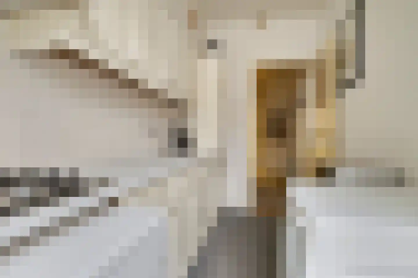 Vinkstraat 10 Breda thumbnail 10