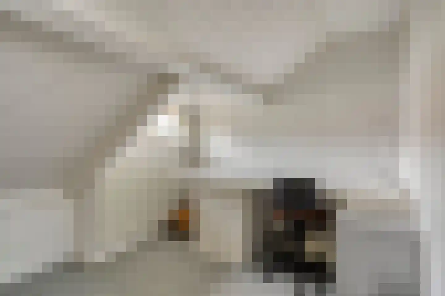 Vinkstraat 10 Breda thumbnail 22