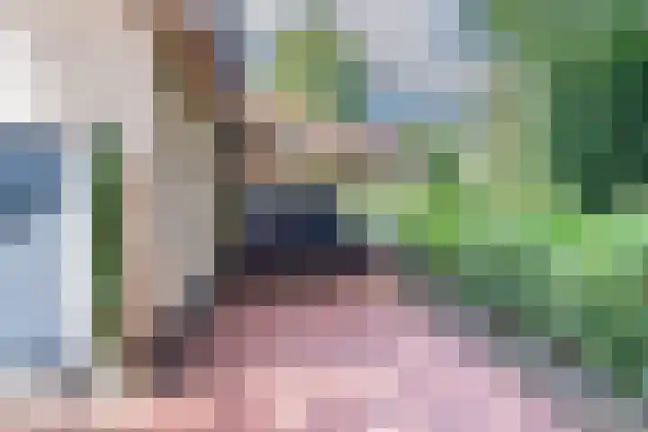 Vinkstraat 15 Haaksbergen thumbnail 7