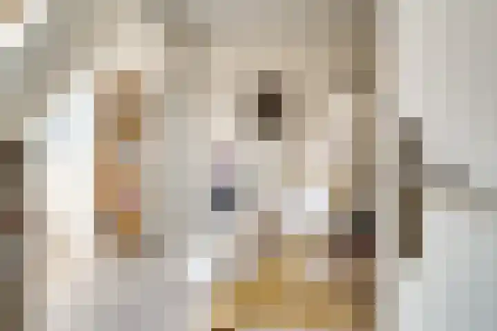 Vinkstraat 21 Duiven thumbnail 13