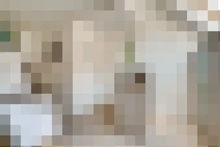 Vinkstraat 21 Duiven thumbnail 14