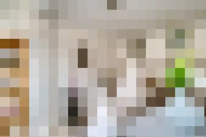 Vinkstraat 21 Duiven thumbnail 17