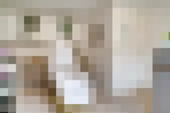 Vinkstraat 21 Duiven thumbnail 18