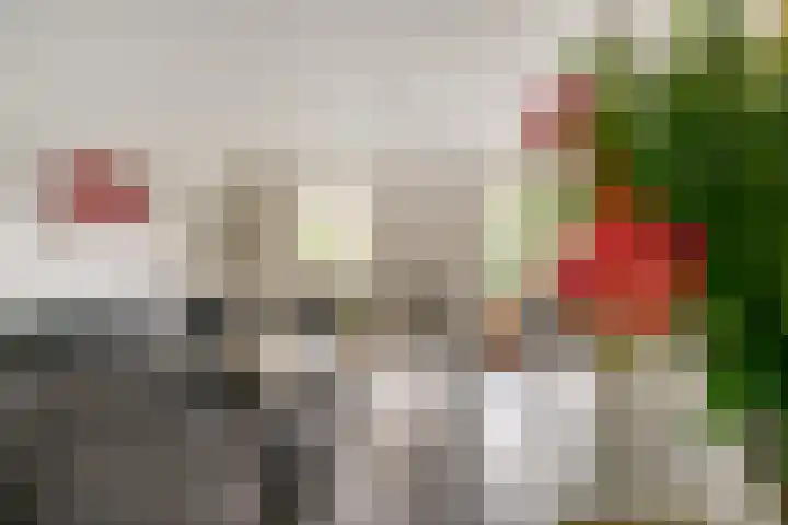 Vinkstraat 21 Duiven thumbnail 21