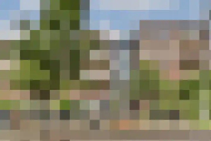 Vinkstraat 21 Duiven thumbnail 24