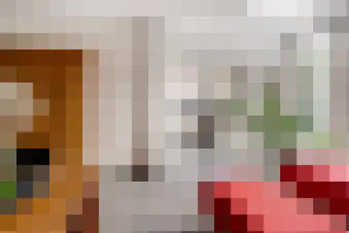 Vinkstraat 21 Duiven thumbnail 29