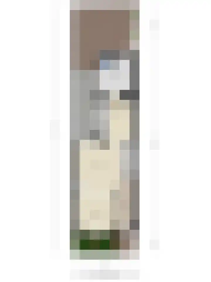 Vinkstraat 21 Duiven thumbnail 32