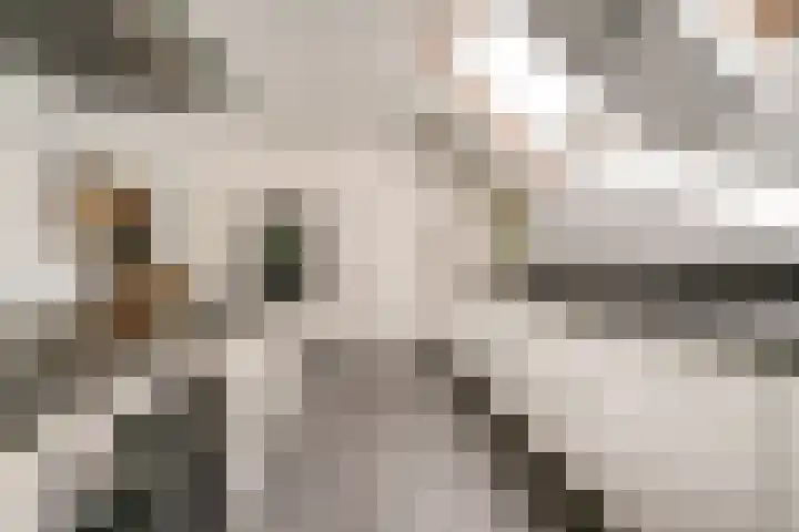 Vinkstraat 21 Duiven thumbnail 35
