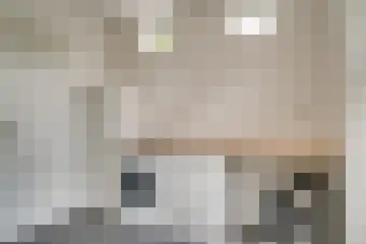 Vinkstraat 21 Duiven thumbnail 37