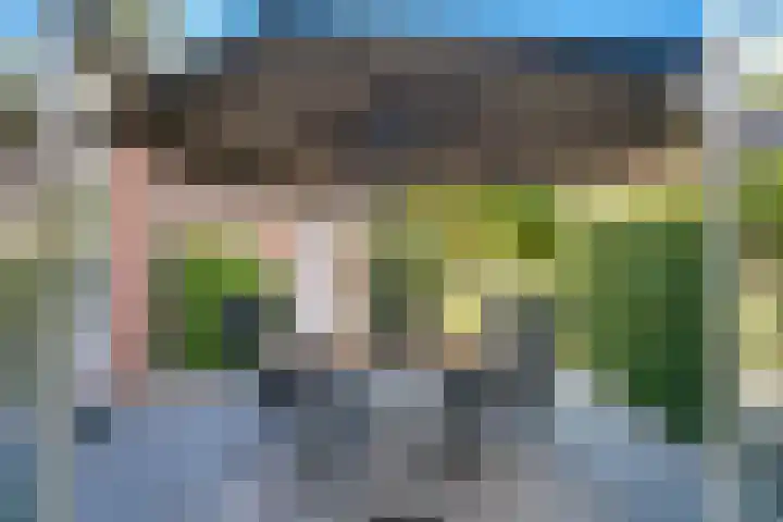 Vinkstraat 21 Duiven thumbnail 43