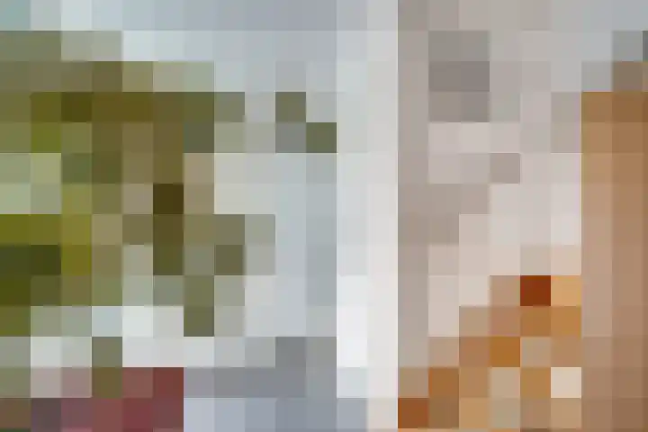 Vinkstraat 21 Duiven thumbnail 46