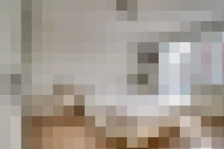 Vinkstraat 21 Duiven thumbnail 49