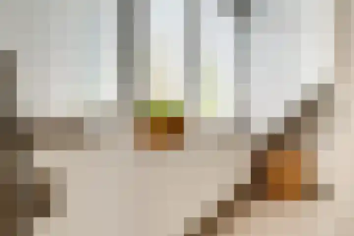 Vinkstraat 21 Duiven thumbnail 52
