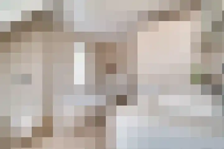 Vinkstraat 21 Duiven thumbnail 53