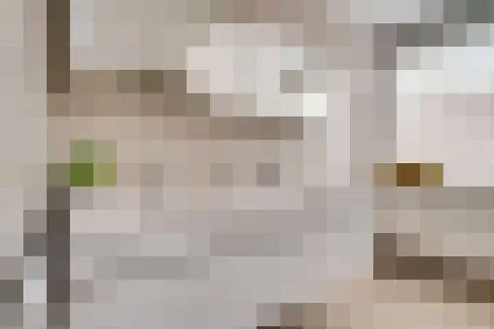 Vinkstraat 21 Duiven thumbnail 58
