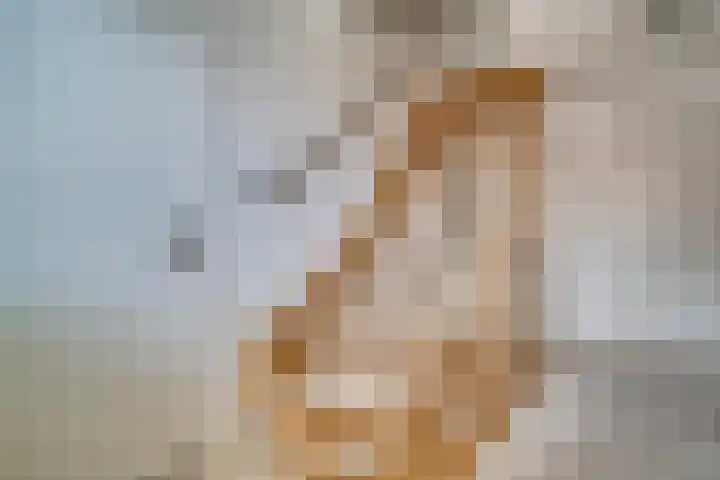 Vinkstraat 21 Duiven thumbnail 62