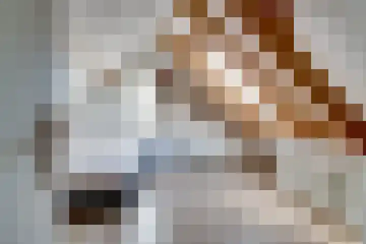 Vinkstraat 21 Duiven thumbnail 65