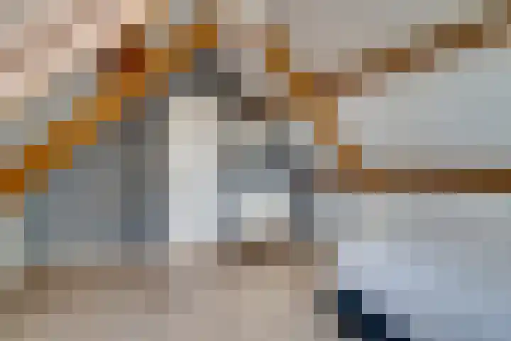 Vinkstraat 21 Duiven thumbnail 67