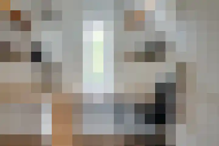 Vinkstraat 21 Duiven thumbnail 68