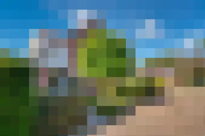 Vinkstraat 21 Duiven thumbnail 7