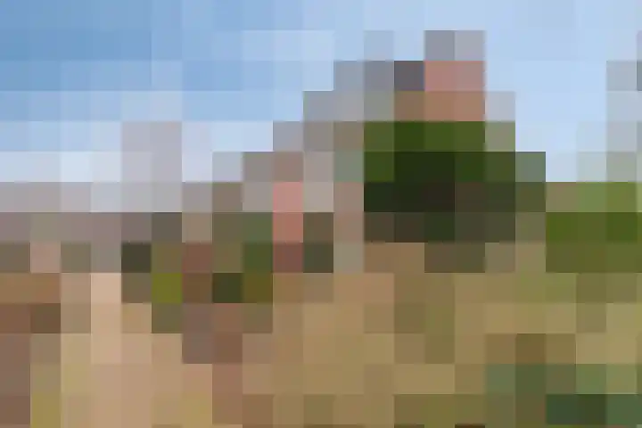 Vinkstraat 21 Duiven thumbnail 72