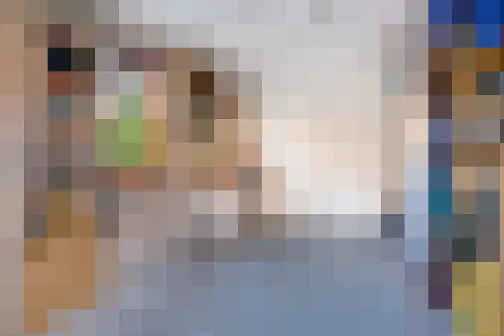 Vinkstraat 21 Duiven thumbnail 73