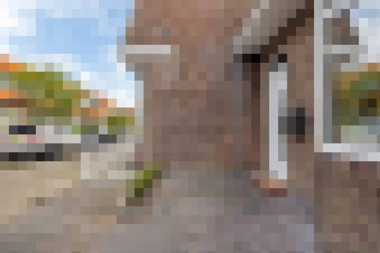Vinkstraat 25 Leeuwarden thumbnail 34