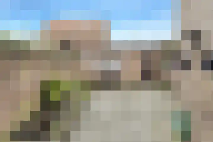 Vinkstraat 26 Breda thumbnail 42
