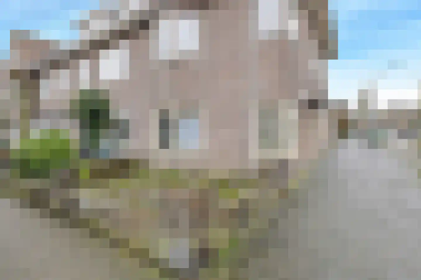 Vinkstraat 26 Breda thumbnail 5