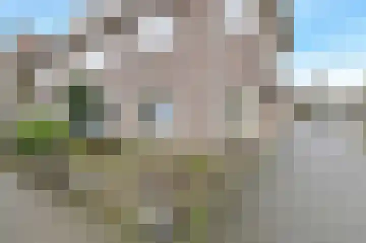 Vinkstraat 26 Breda thumbnail 6