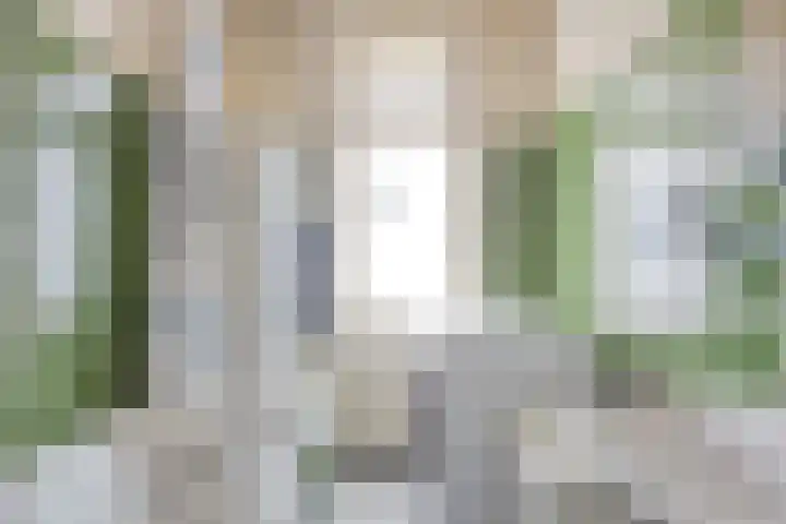 Vinkstraat 43 Breda thumbnail 32