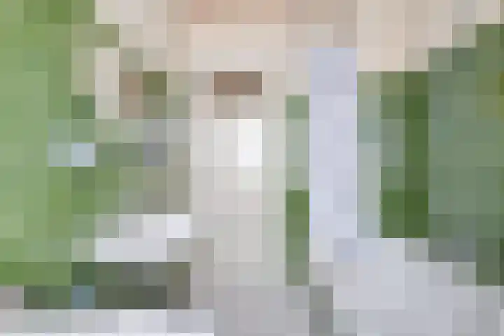 Vinkstraat 43 Breda thumbnail 33