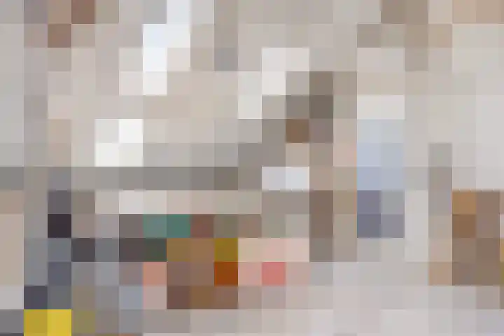 Vinkstraat 43 Breda thumbnail 38