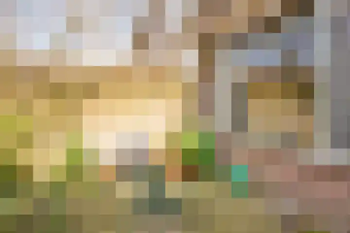 Vinkstraat 43 Breda thumbnail 41