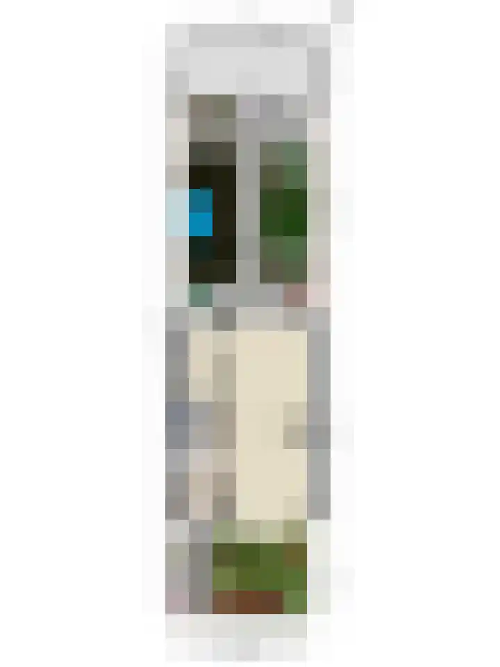 Vinkstraat 43 Breda thumbnail 47