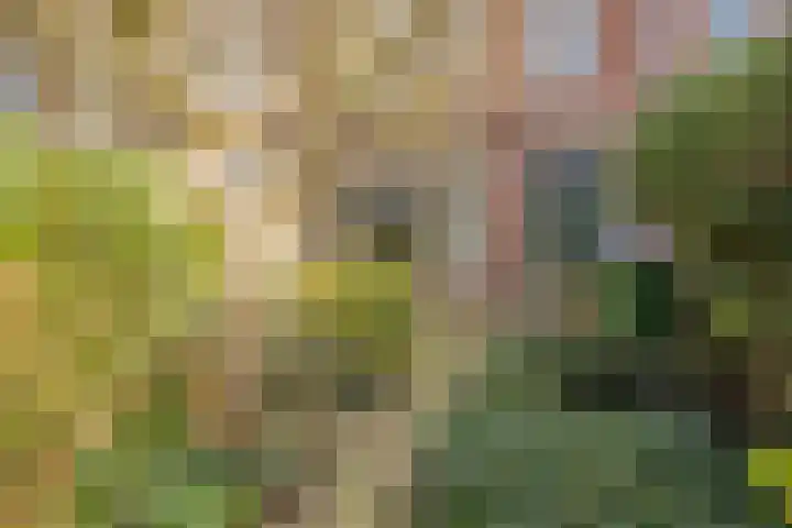 Vinkstraat 43 Breda thumbnail 5