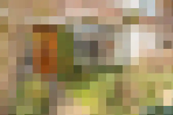 Vinkstraat 43 Breda thumbnail 8
