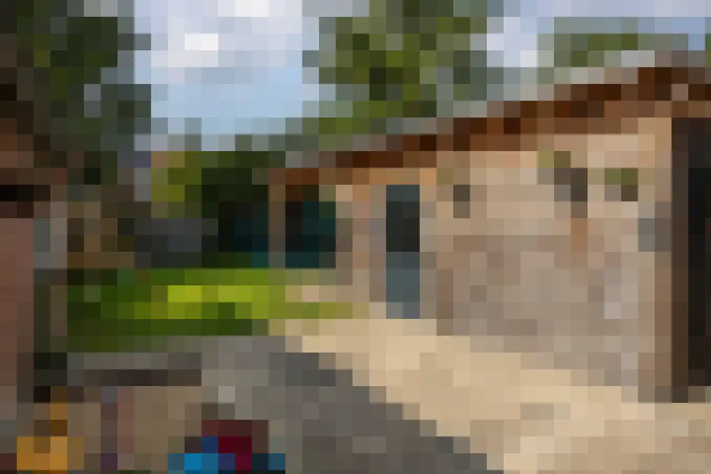 Vinkstraat 6 Borne thumbnail 22