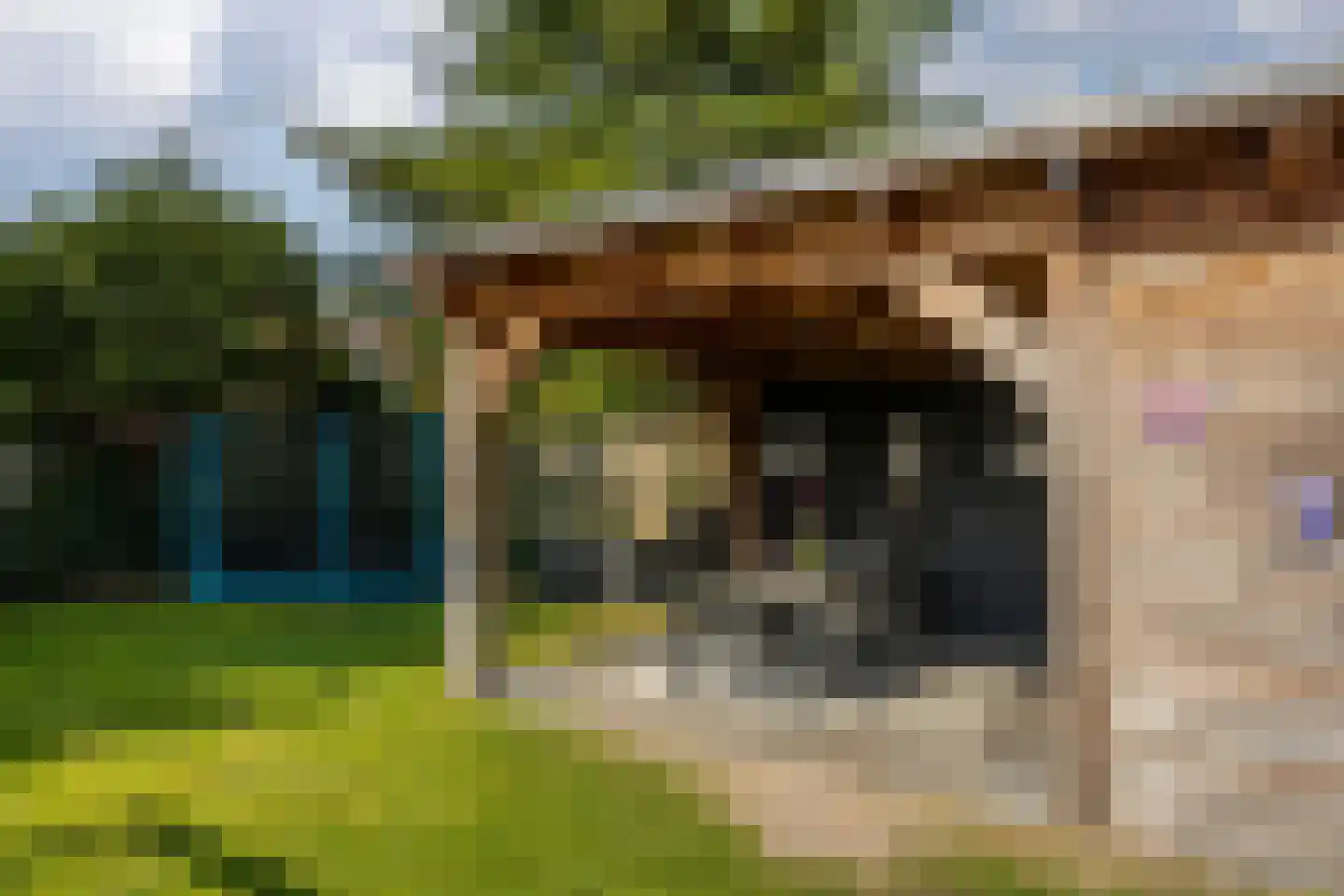Vinkstraat 6 Borne thumbnail 23