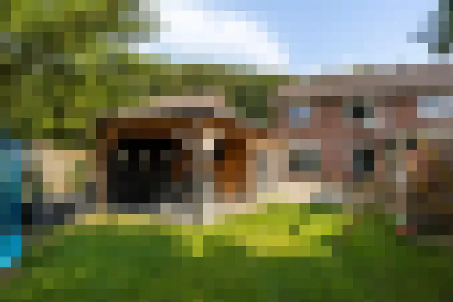 Vinkstraat 6 Borne thumbnail 24