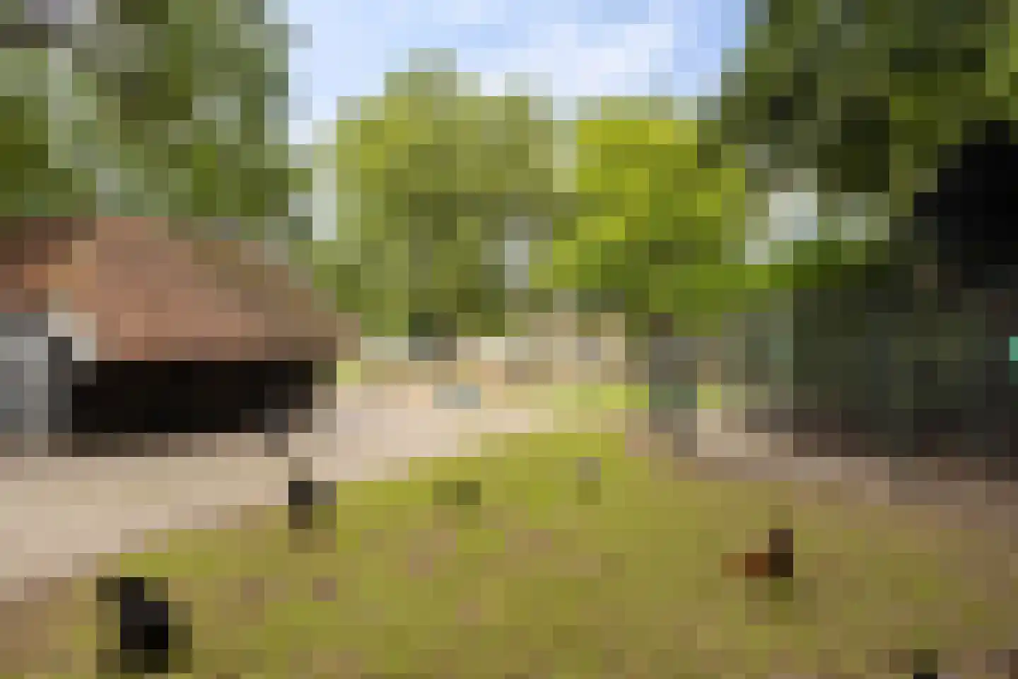 Vinkstraat 6 Borne thumbnail 28