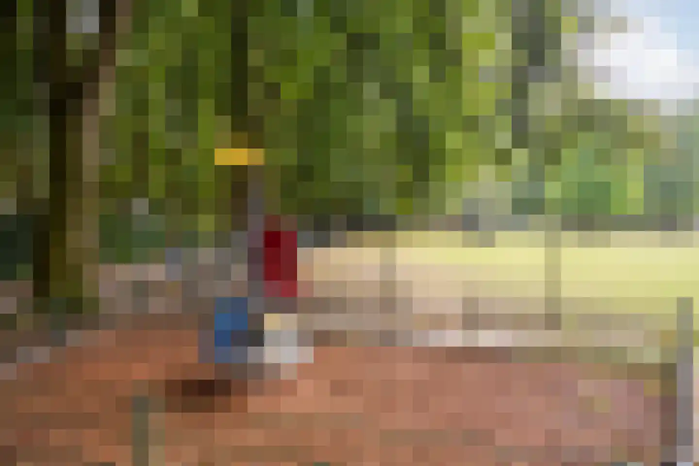 Vinkstraat 6 Borne thumbnail 29
