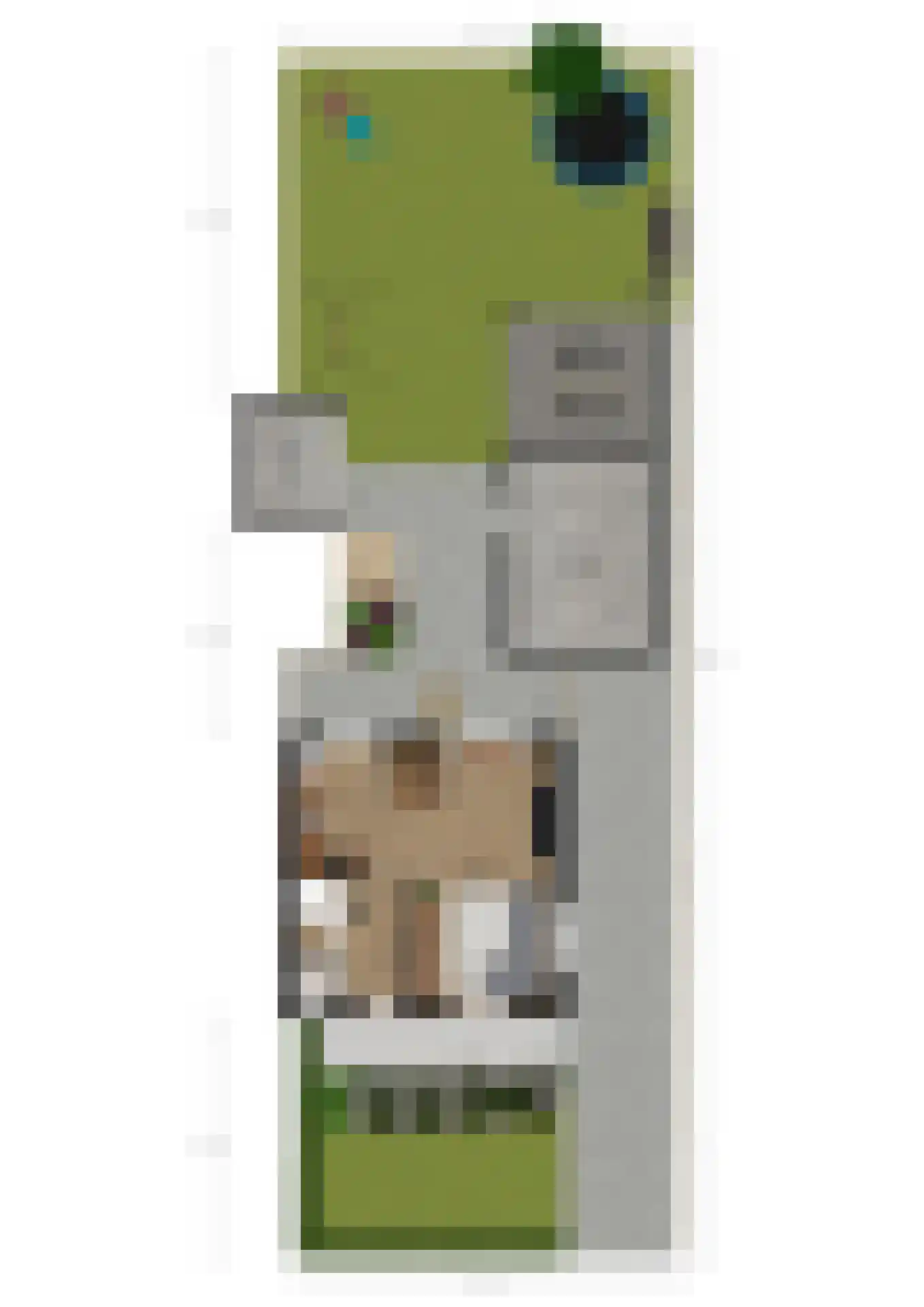 Vinkstraat 6 Borne thumbnail 34