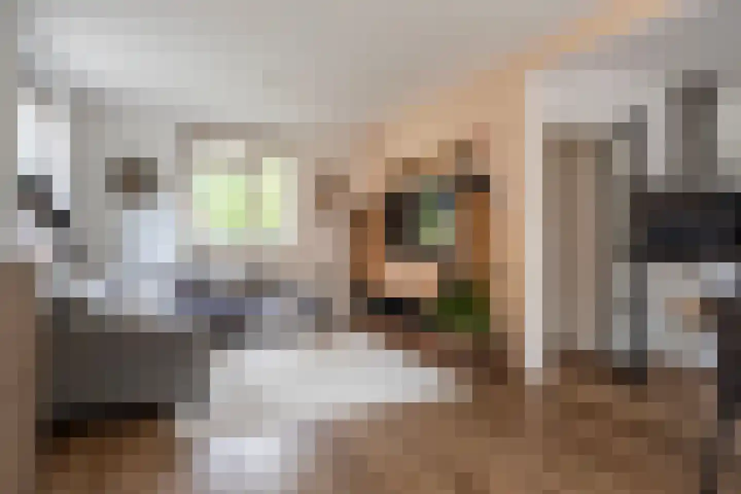 Vinkstraat 6 Borne thumbnail 6