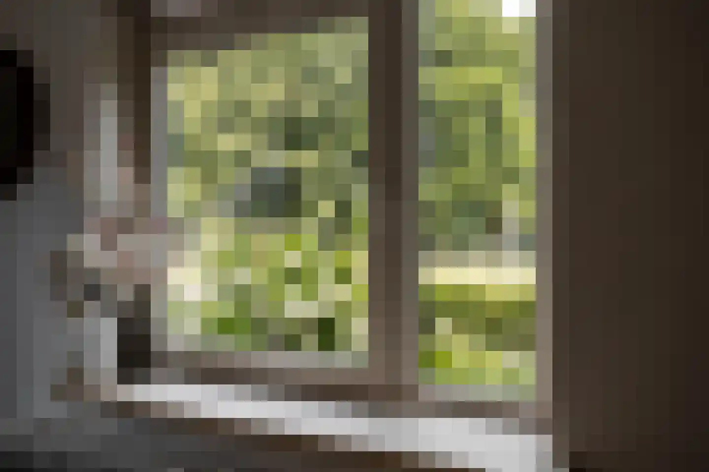 Vinkstraat 6 Borne thumbnail 8