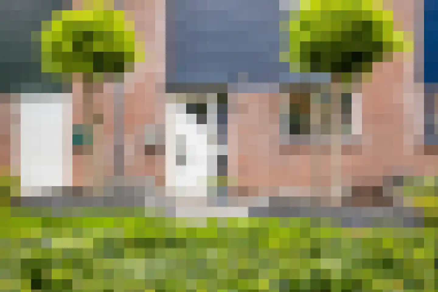 Vinkstraat 6 Duiven
